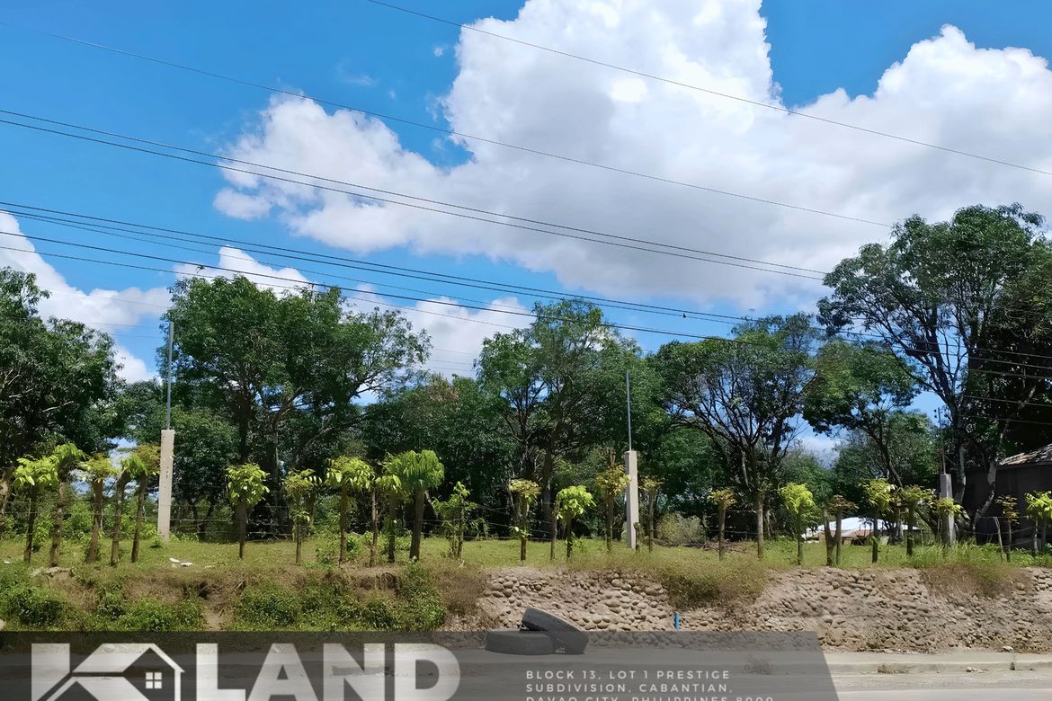 Land for Sale in Waan, Davao City, Davao del Sur – photo 2