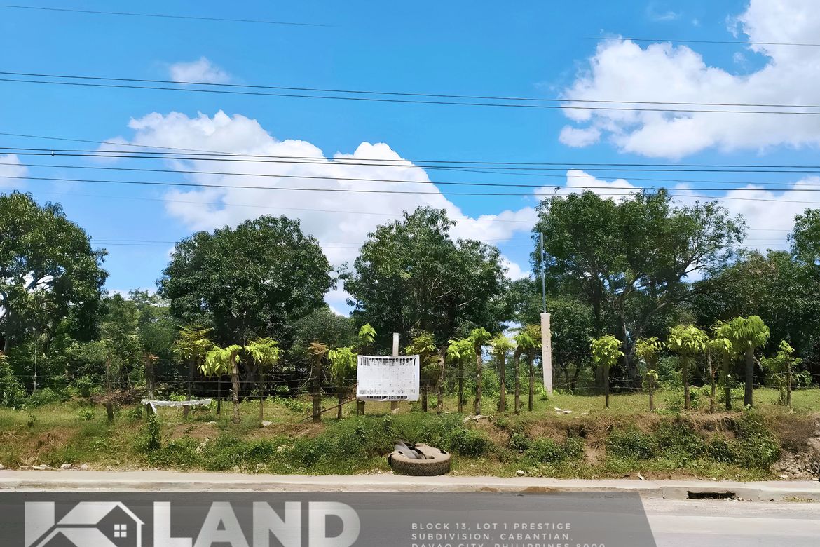 Land for Sale in Waan, Davao City, Davao del Sur – photo 3
