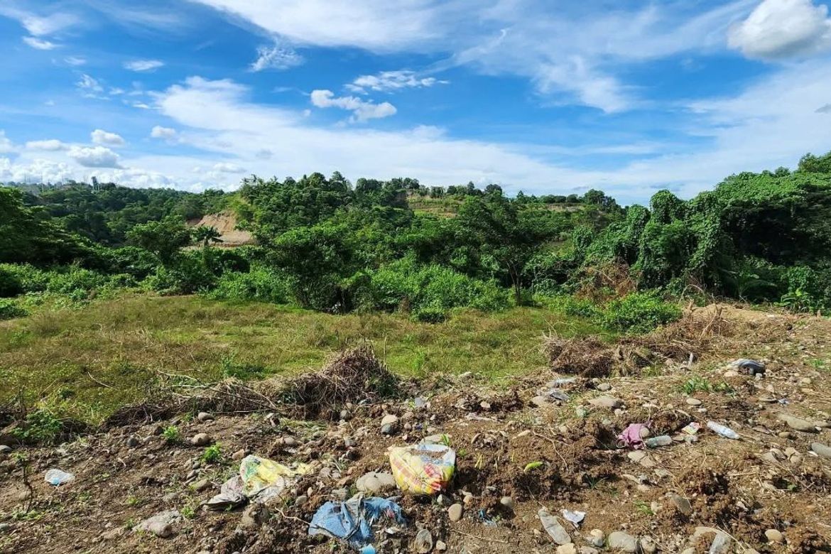 Land for Sale in Waan, Davao City, Davao del Sur – photo 2