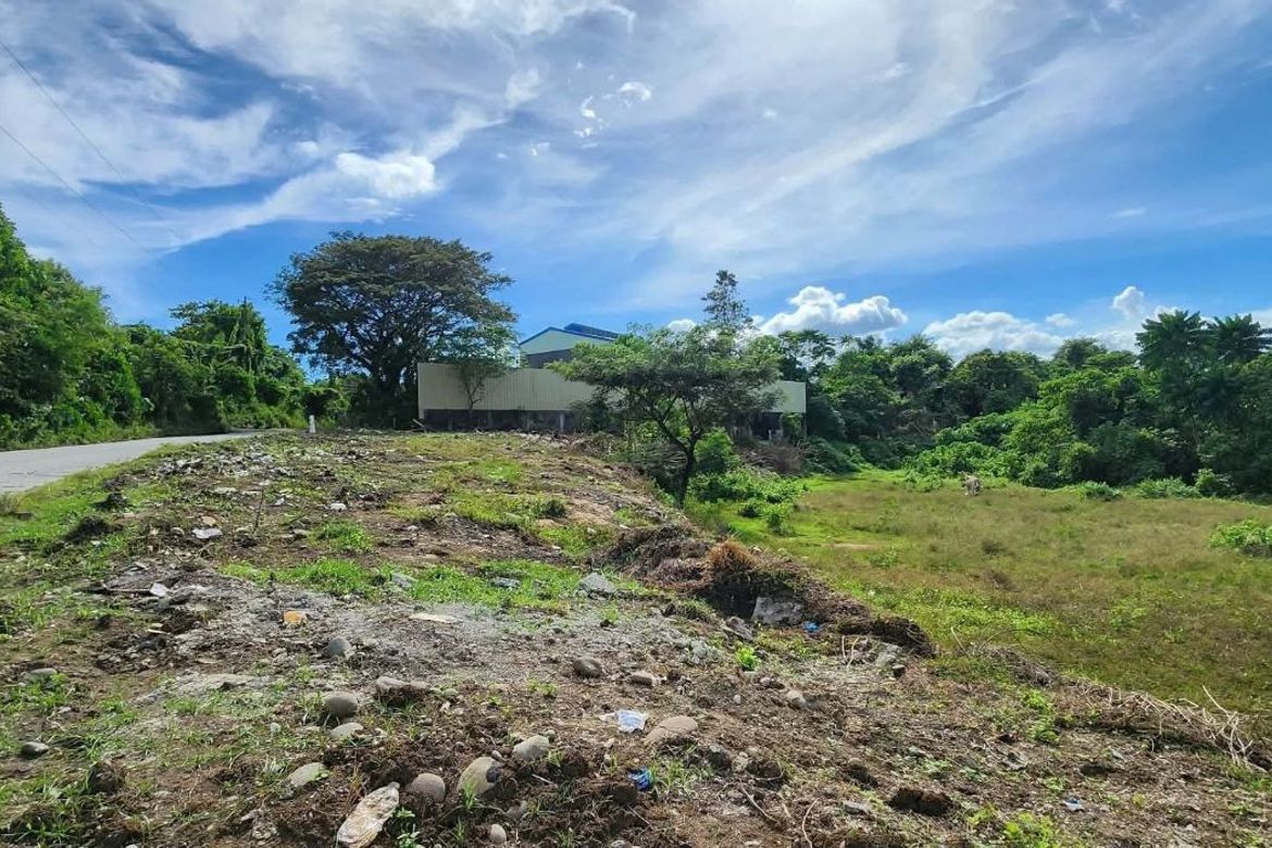 Land for Sale in Waan, Davao City, Davao del Sur – photo 4