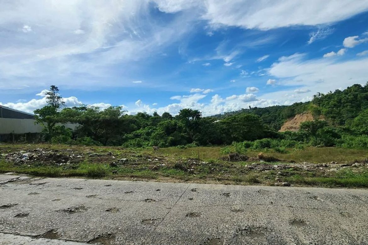 Land for Sale in Waan, Davao City, Davao del Sur – photo 6