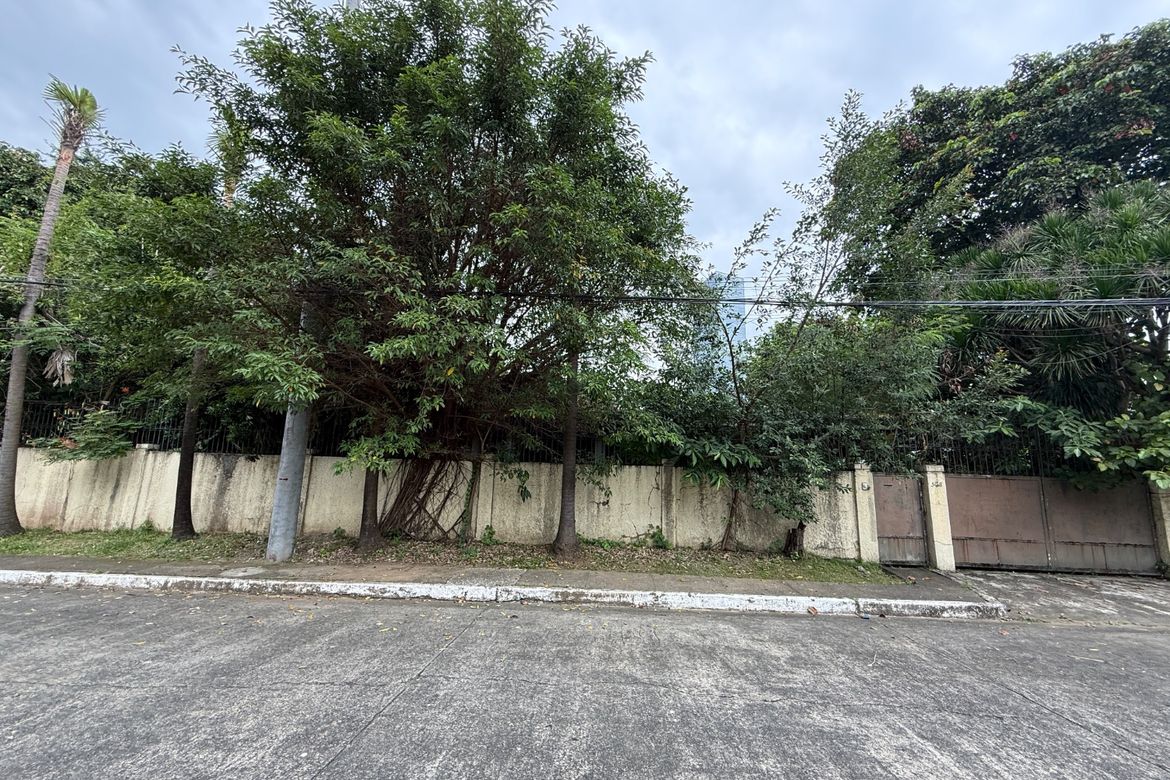 Land for Sale in Wack-Wack Greenhills, Mandaluyong, Metro Manila – photo 3