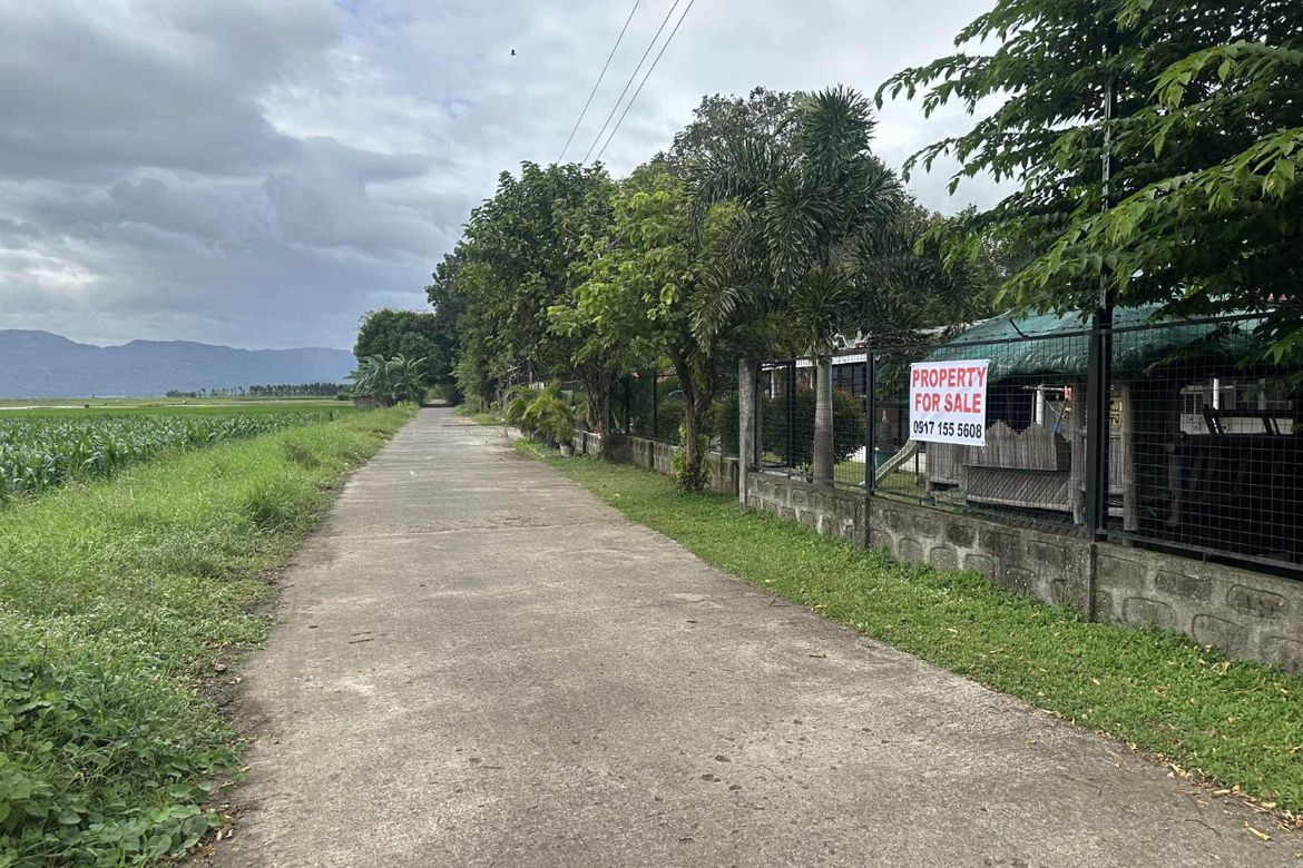 Land for Sale in Wawa, Lumban, Laguna
