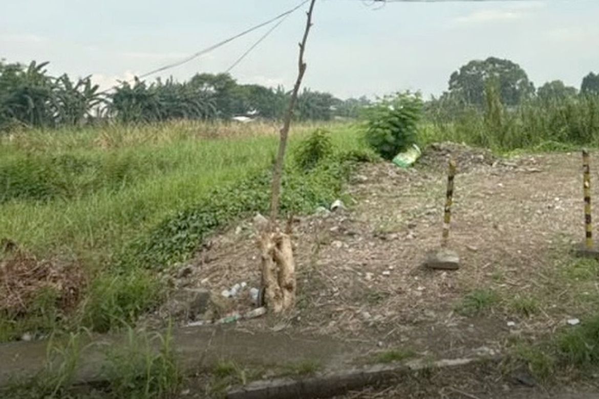 Land for Sale in Wawa, Taguig, Metro Manila – photo 2