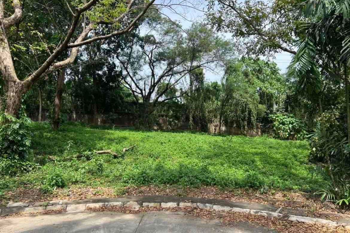 Land for Sale in Wedgewood Subdivision at Ayala Westgrove Heights, Inchican, Silang, Cavite – photo 2
