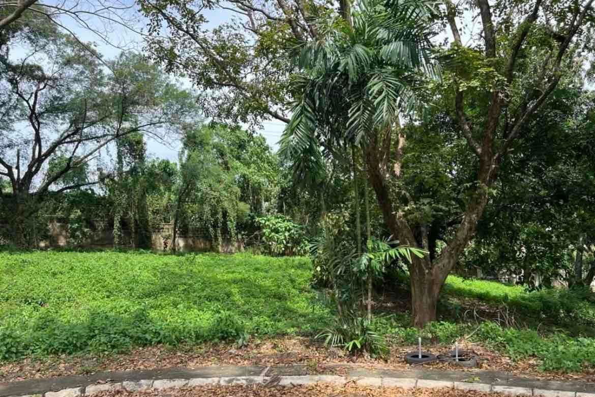 Land for Sale in Wedgewood Subdivision at Ayala Westgrove Heights, Inchican, Silang, Cavite – photo 3