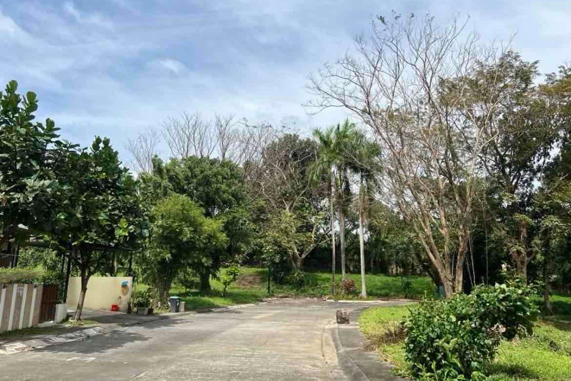Land for Sale in Wedgewood Subdivision at Ayala Westgrove Heights, Inchican, Silang, Cavite – photo 5