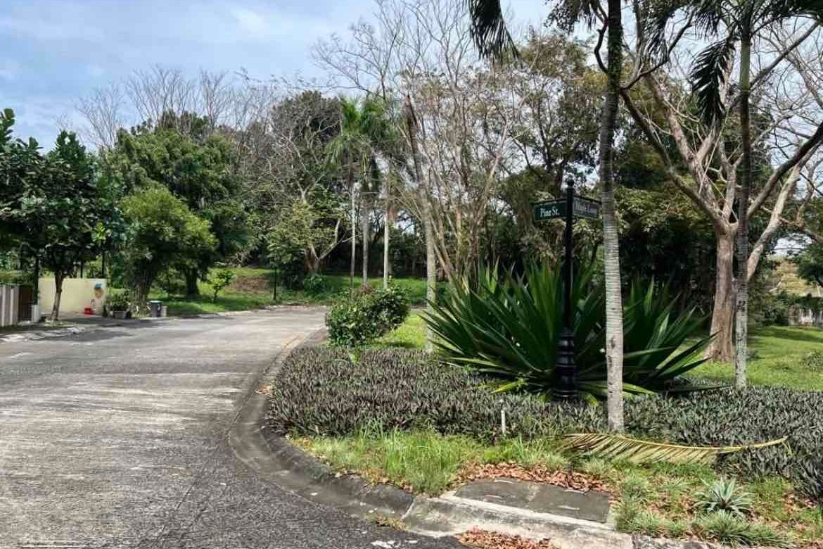 Land for Sale in Wedgewood Subdivision at Ayala Westgrove Heights, Inchican, Silang, Cavite – photo 6