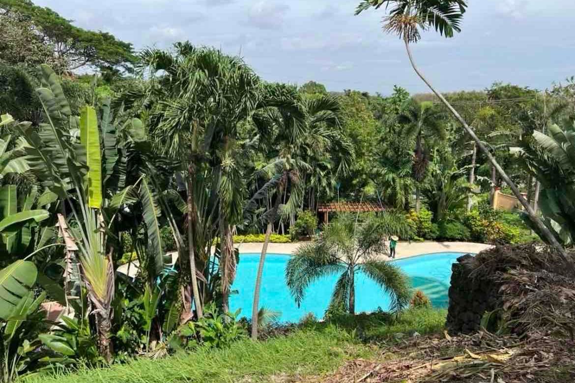 Land for Sale in Wedgewood Subdivision at Ayala Westgrove Heights, Inchican, Silang, Cavite – photo 7