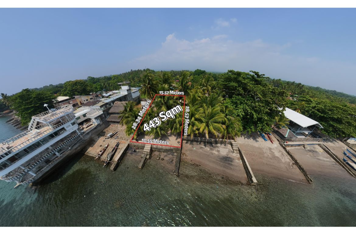Land for Sale in West Poblacion, Bacong, Negros Oriental