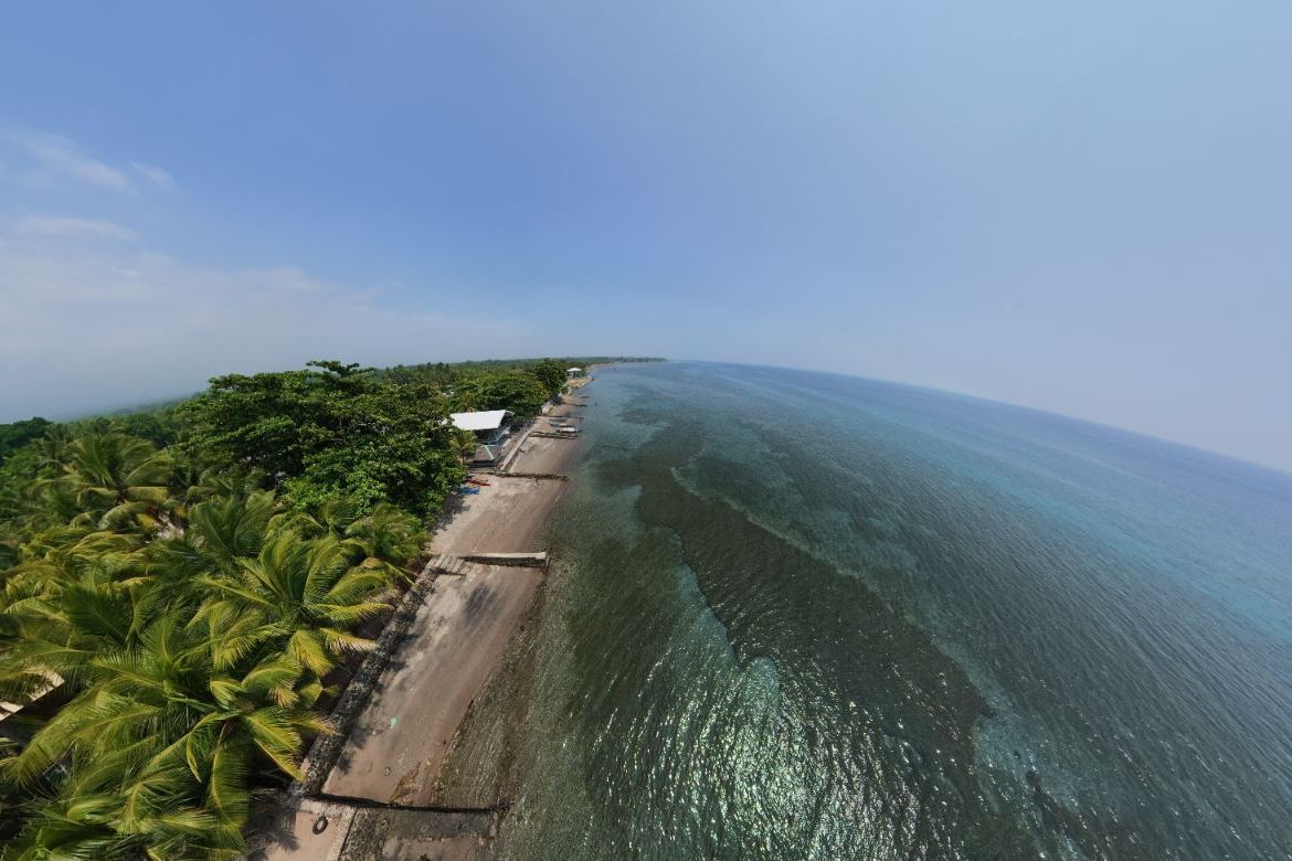Land for Sale in West Poblacion, Bacong, Negros Oriental – photo 5