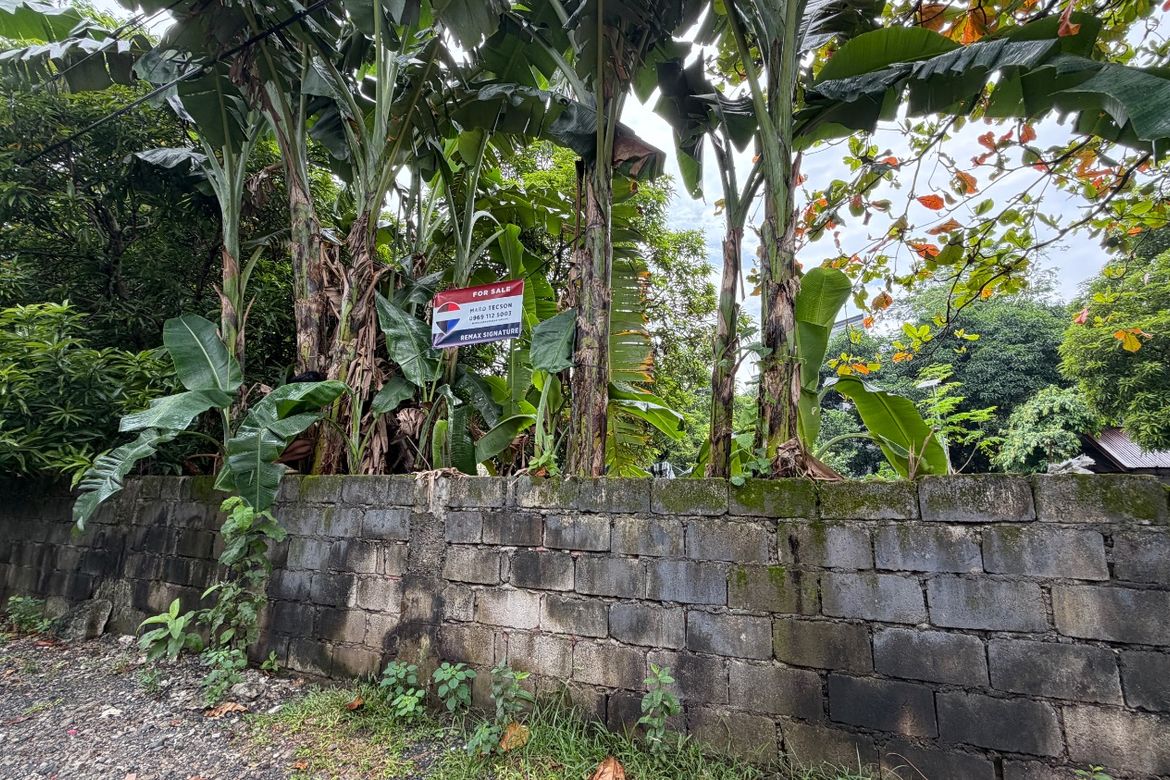 Land for Sale in Western Bicutan, Taguig, Metro Manila – photo 2