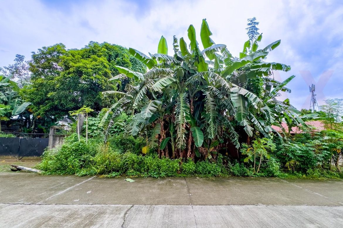 Land for Sale in Western Bicutan, Taguig, Metro Manila – photo 2
