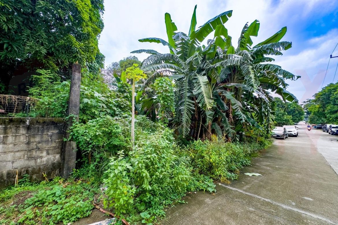 Land for Sale in Western Bicutan, Taguig, Metro Manila – photo 3