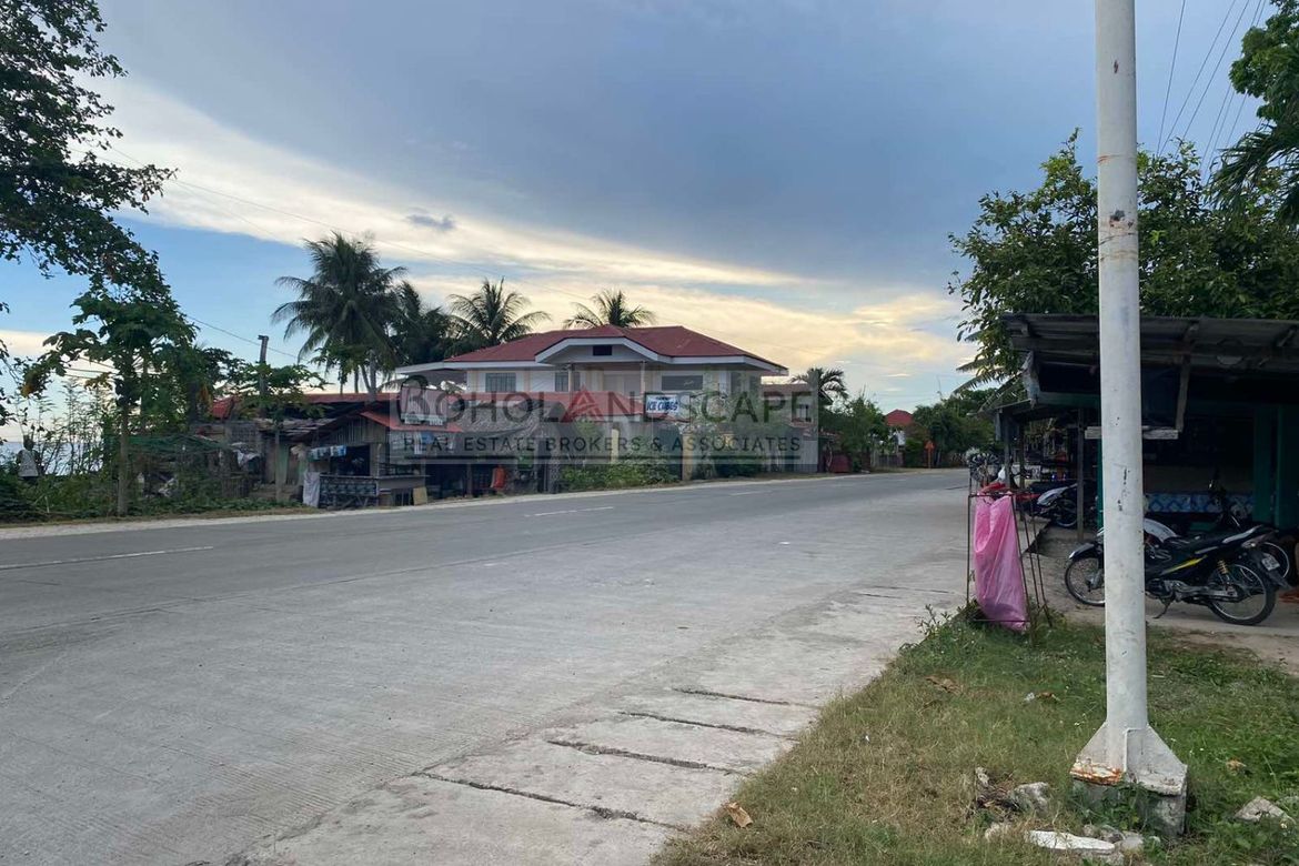 Land for Sale in Yanangan, Loay, Bohol – photo 6