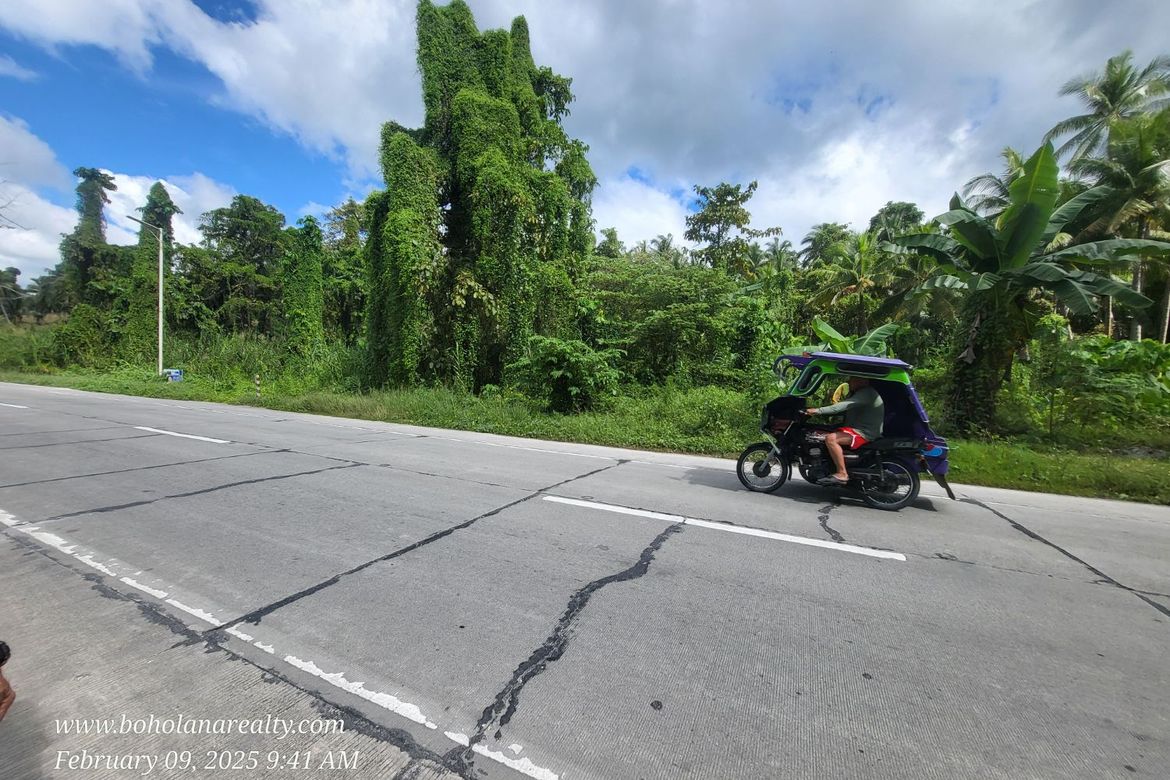 Land for Sale in Yanangan, Loay, Bohol – photo 2