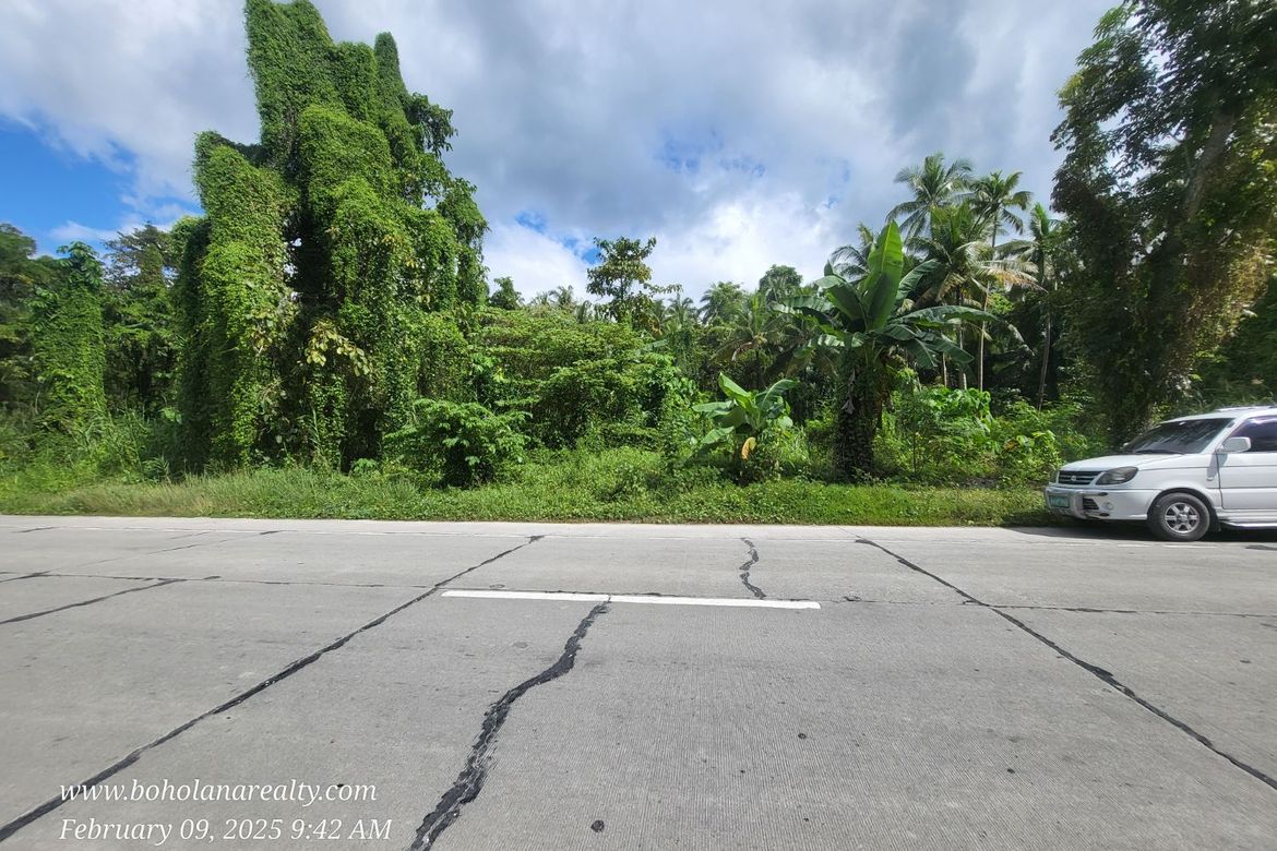 Land for Sale in Yanangan, Loay, Bohol – photo 4