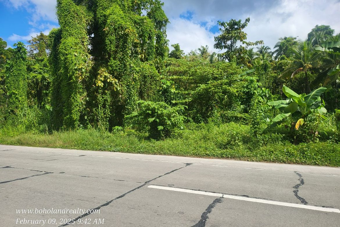 Land for Sale in Yanangan, Loay, Bohol – photo 5
