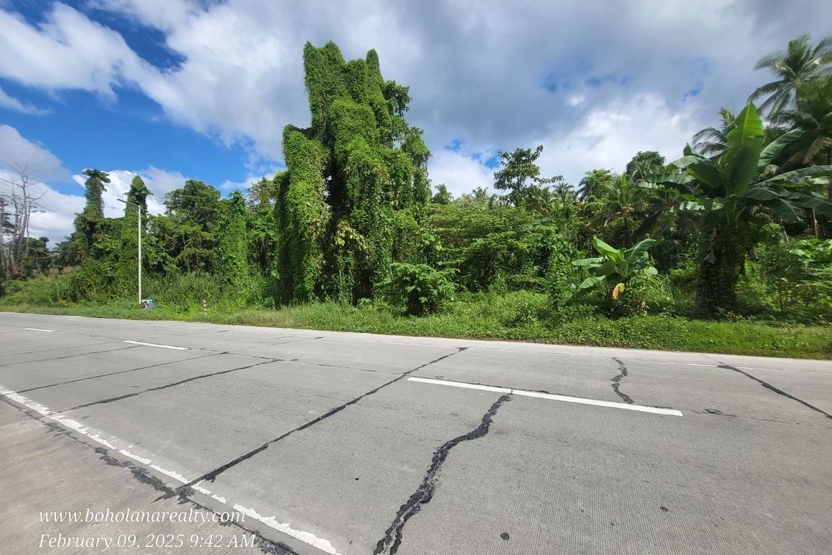 Land for Sale in Yanangan, Loay, Bohol – photo 6
