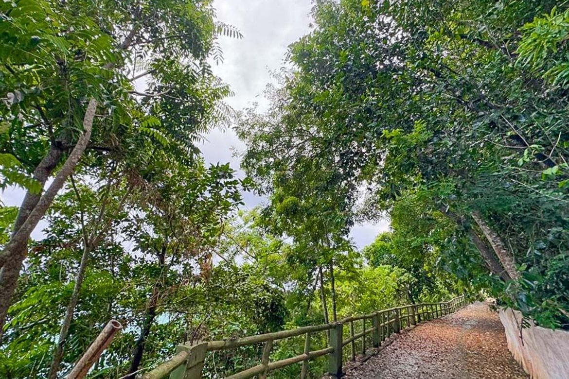 Land for Sale in Yapak, Malay, Aklan