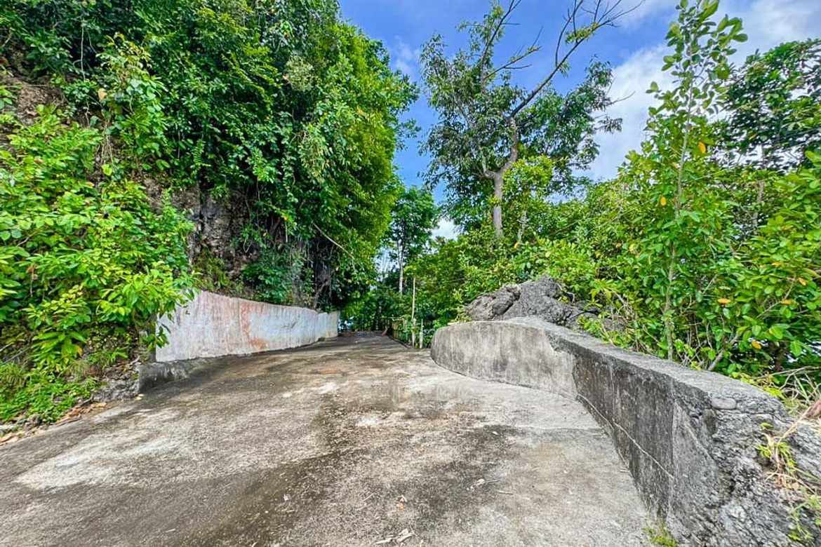 Land for Sale in Yapak, Malay, Aklan – photo 2