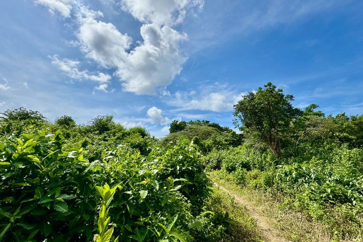 Land for Sale in Yapak, Malay, Aklan – photo 6