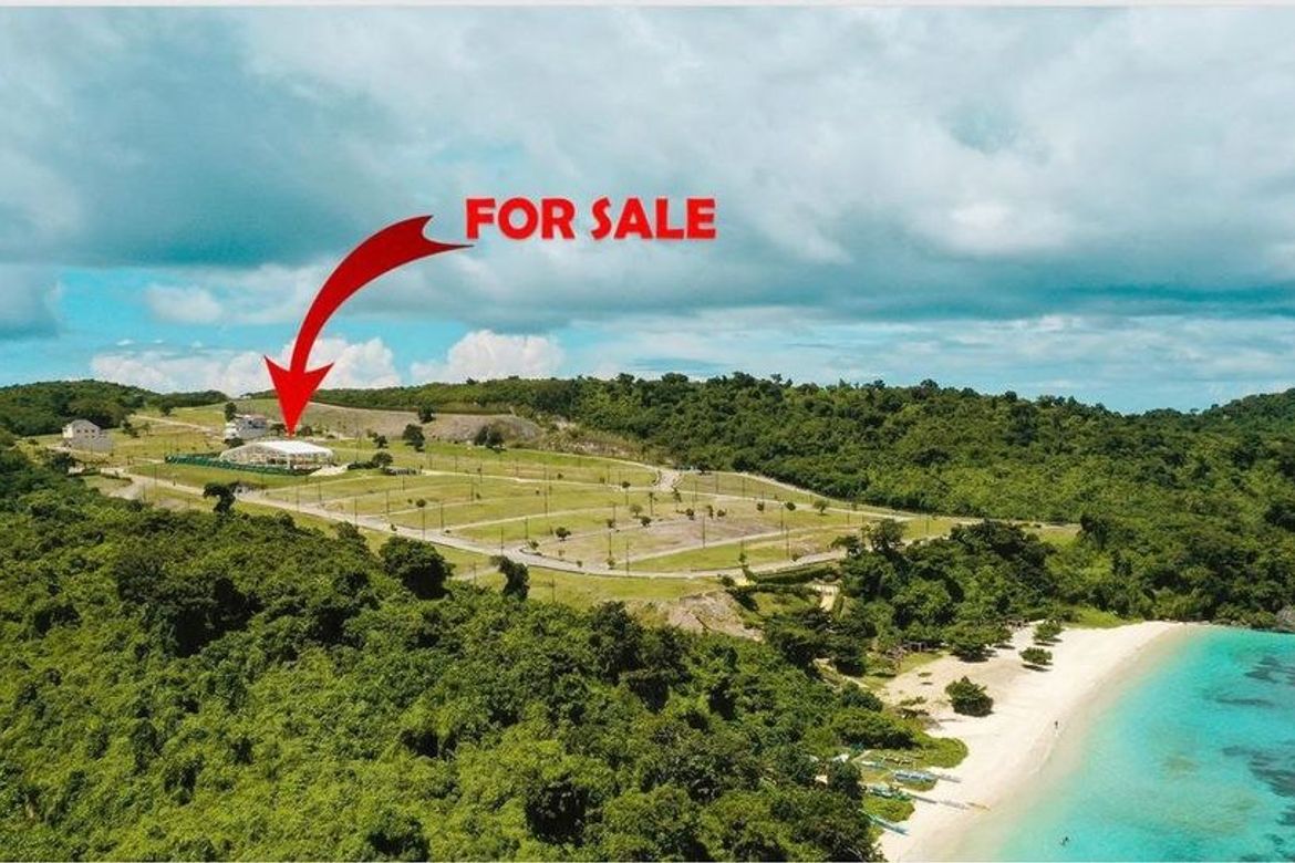 Land for Sale in Yapak, Malay, Aklan – photo 2