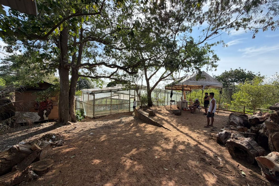Land for Sale in Yapak, Malay, Aklan