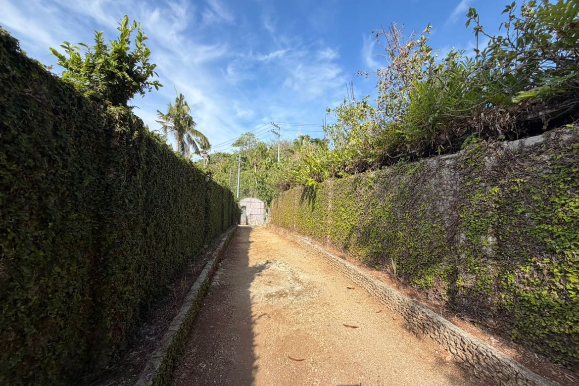 Land for Sale in Yapak, Malay, Aklan – photo 4
