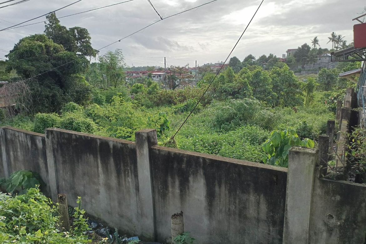 Land for Sale in Yati, Liloan, Cebu – photo 4