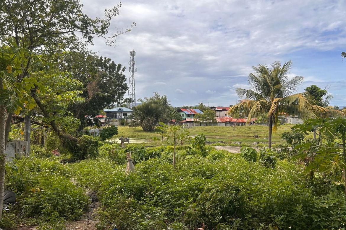 Land for Sale in Yati, Liloan, Cebu – photo 8
