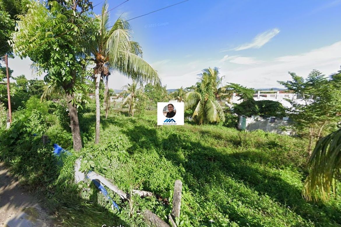Land for Sale in Yati, Liloan, Cebu – photo 5
