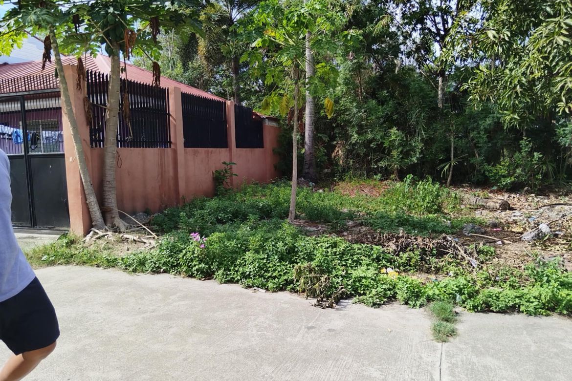 Land for Sale in Yati, Liloan, Cebu – photo 3