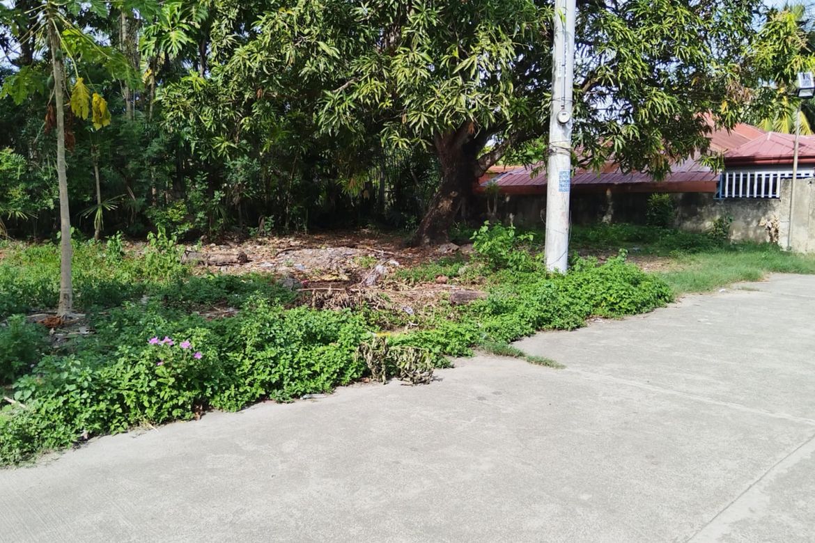 Land for Sale in Yati, Liloan, Cebu – photo 7