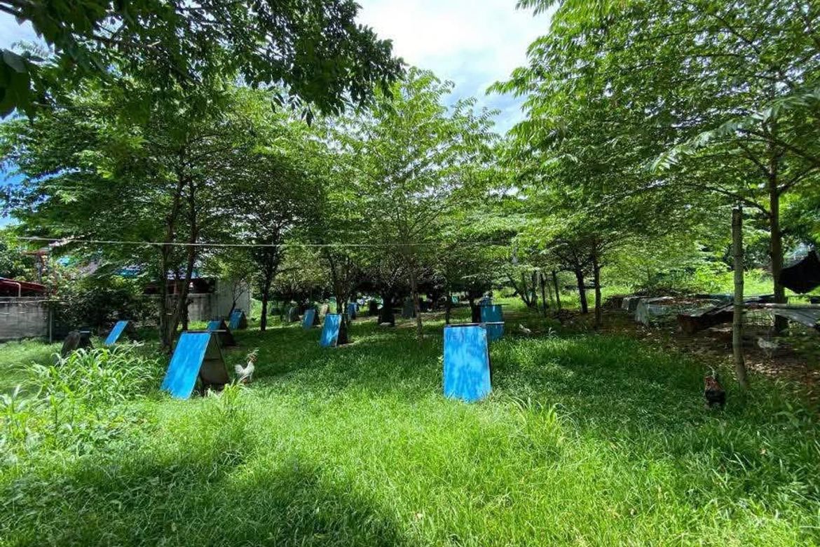 Land for Sale in Yati, Liloan, Cebu – photo 6