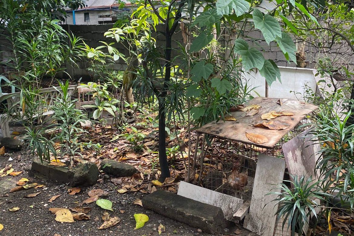 Land for Sale in Zapatera, Cebu City, Cebu – photo 2