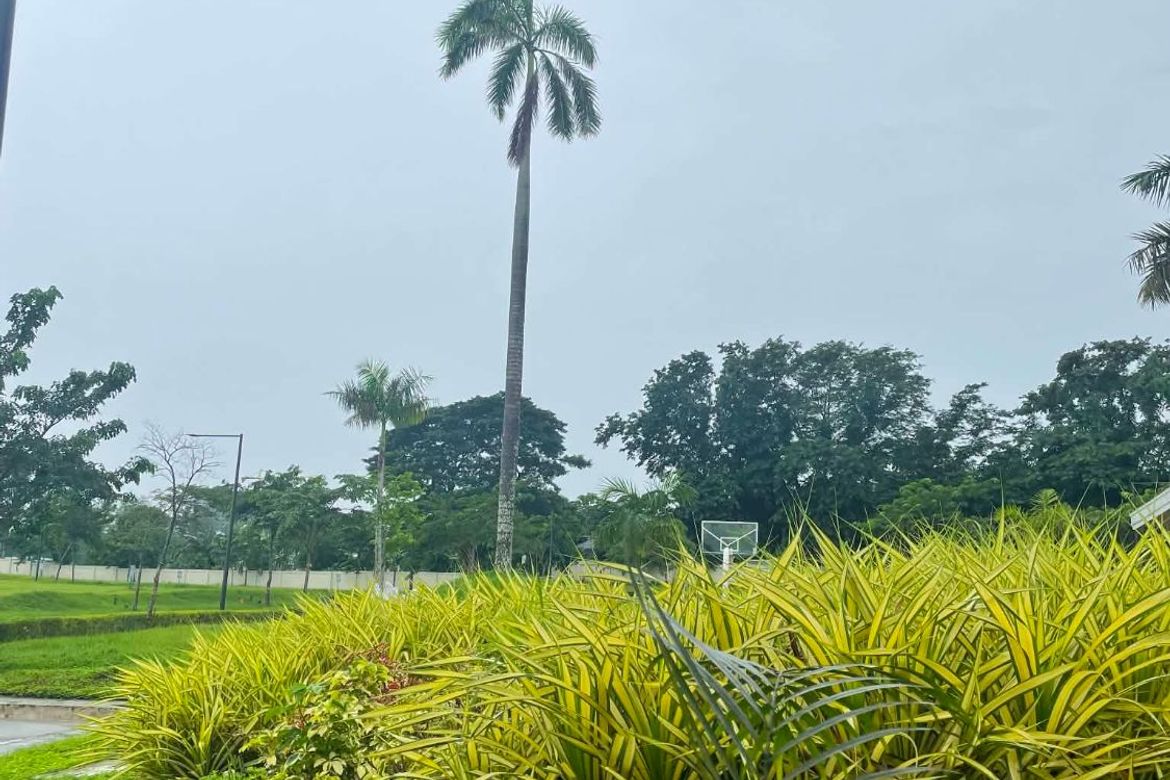 Land for Sale in Zapote, Biñan, Laguna – photo 5