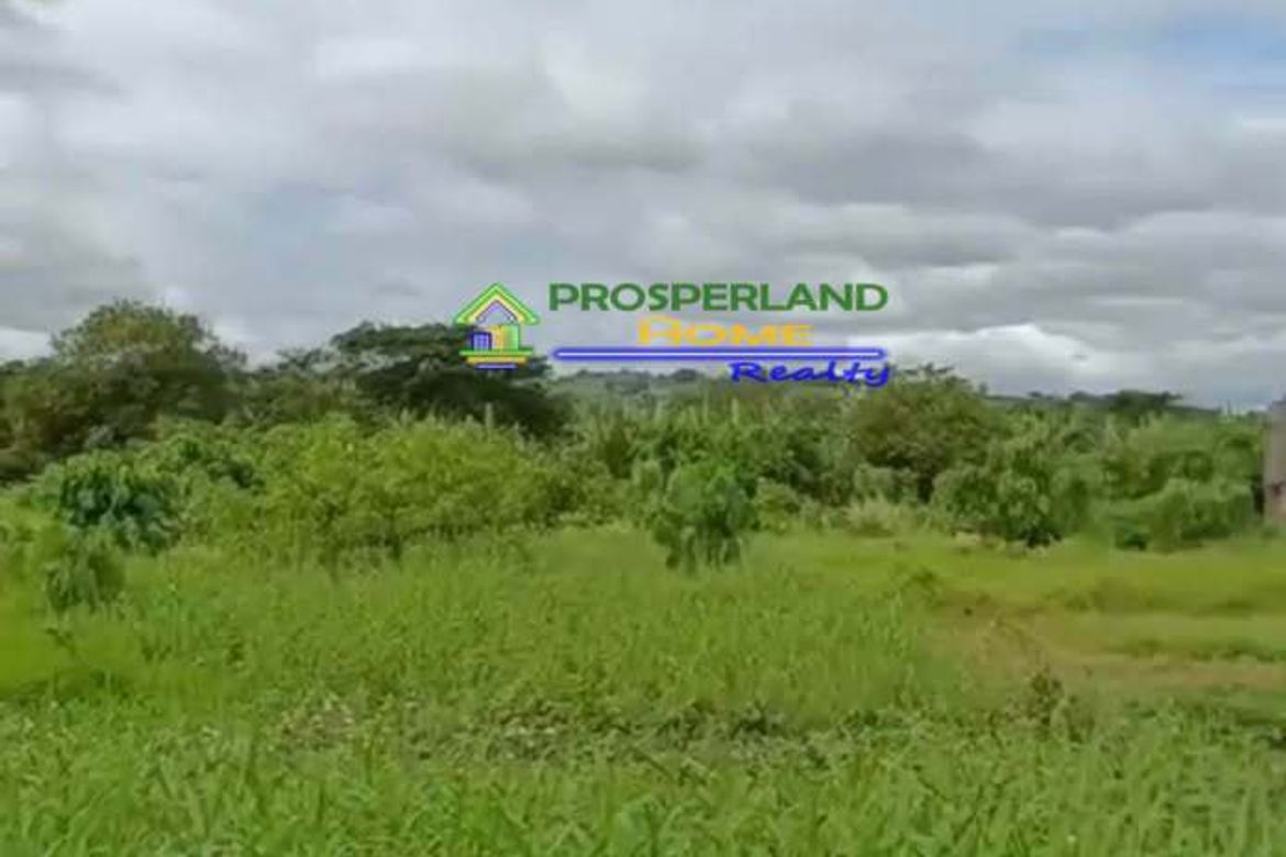 Land for Sale in Zapote, Biñan, Laguna – photo 2