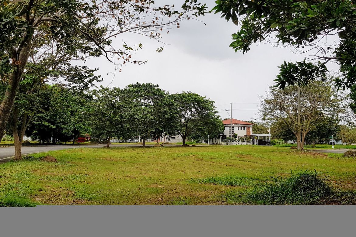 Land for Sale in Zapote, Biñan, Laguna – photo 6