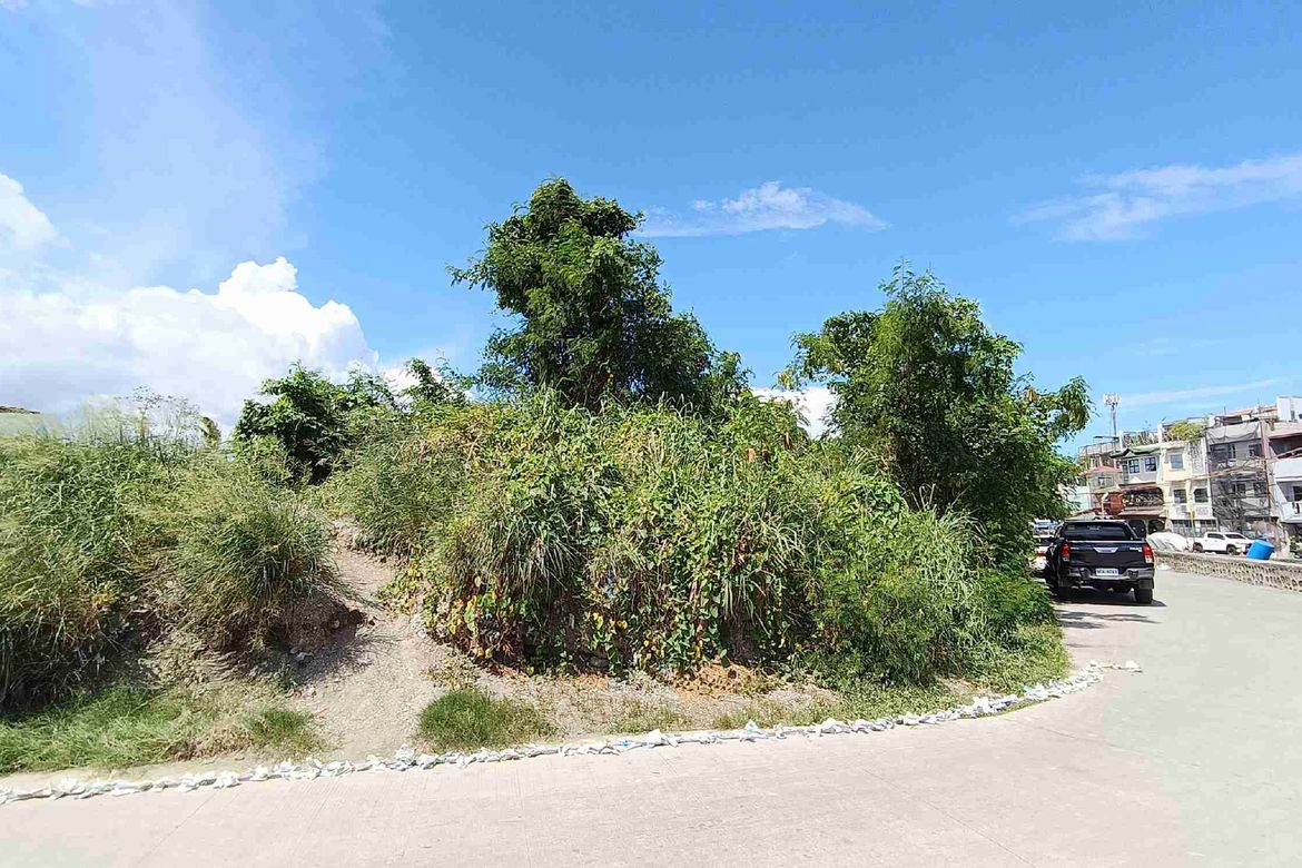 Land for Sale in Zapote, Las Piñas, Metro Manila – photo 3