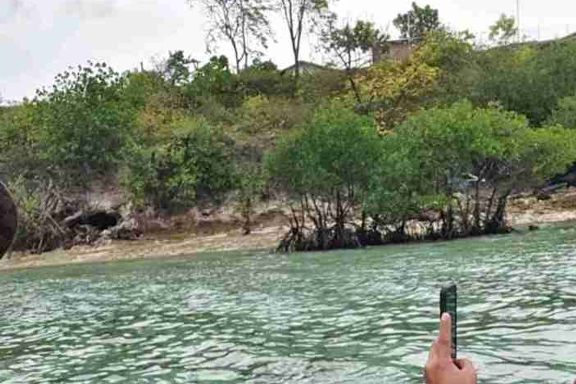 Land for Sale in Zaragosa, Badian, Cebu – photo 3