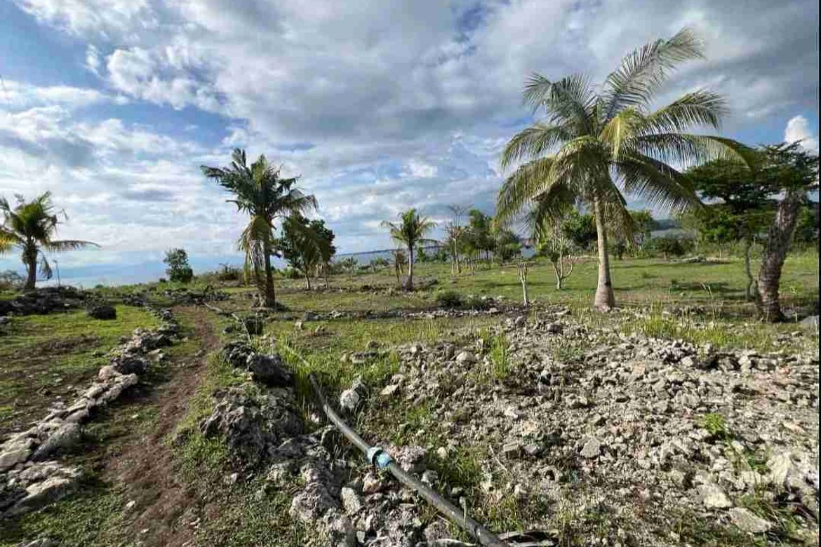 Land for Sale in Zaragosa, Badian, Cebu – photo 4