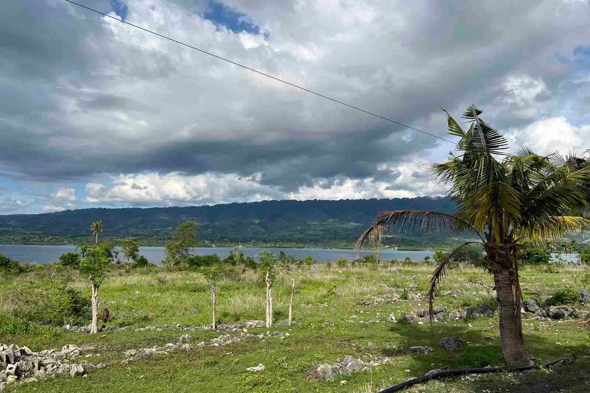 Land for Sale in Zaragosa, Badian, Cebu – photo 6