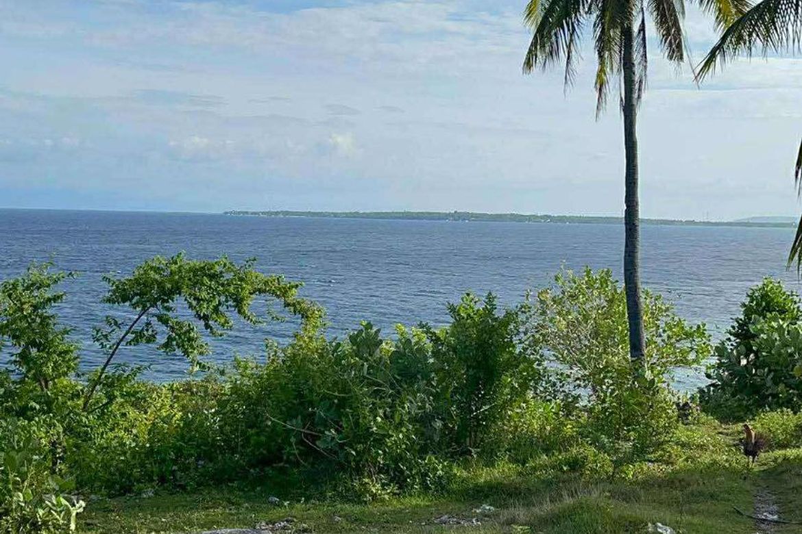 Land for Sale in Zaragosa, Badian, Cebu – photo 3