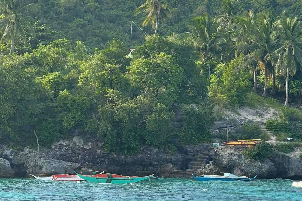 Land for Sale in Zaragosa, Badian, Cebu – photo 4