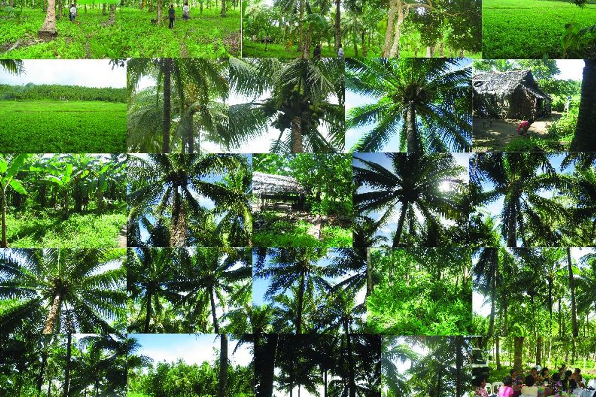 Land for Sale in Zone 1, San Roque, Northern Samar – photo 3