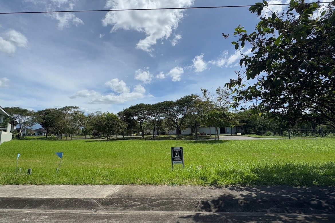 Land for Sale in Zone 15, Talisay, Negros Occidental – photo 2