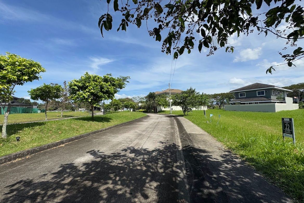 Land for Sale in Zone 15, Talisay, Negros Occidental – photo 8