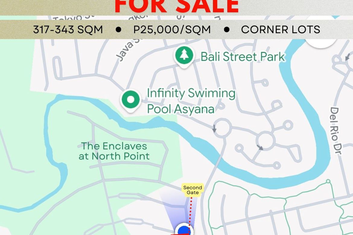 Land for Sale in Zone 15, Talisay, Negros Occidental – photo 5