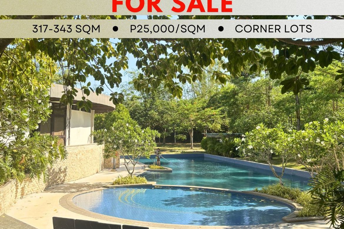 Land for Sale in Zone 15, Talisay, Negros Occidental – photo 8
